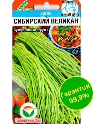 Фасоль Вигна Сибирский великан [Сибирский сад]
