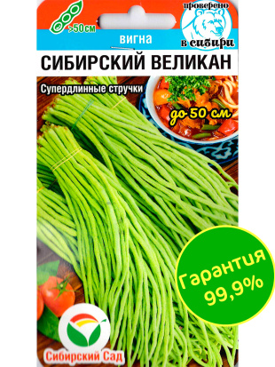 Фасоль Вигна Сибирский великан [Сибирский сад]