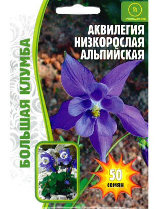 Аквилегия Альпийская Большая клумба [Семена редких растений]