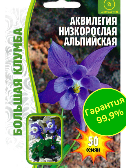 Аквилегия Альпийская Большая клумба [Семена редких растений] купить с доставкой