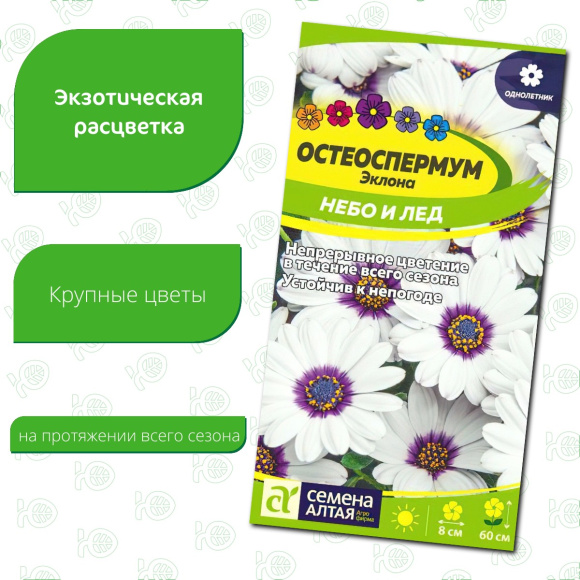 Остеоспермум Небо и Лед [Семена алтая] купить с доставкой