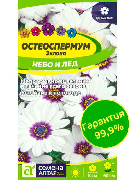 Остеоспермум Небо и Лед [Семена алтая] купить с доставкой