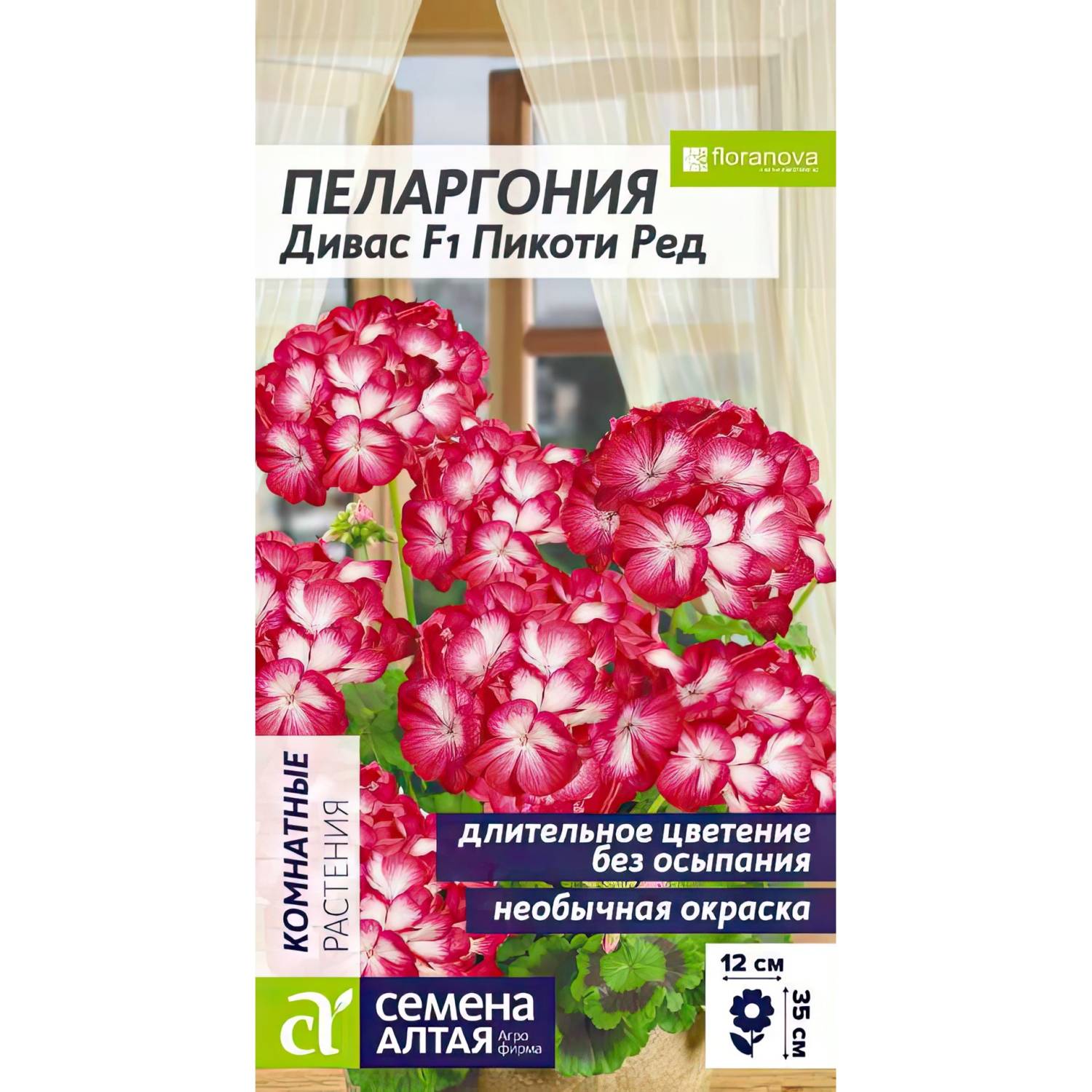 Лучшие Сорта Пеларгонии Где Купить