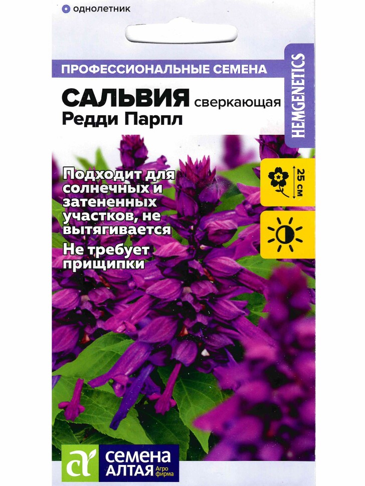 Сальвия Редди Парпл сверкающая [Семена алтая] купить с доставкой