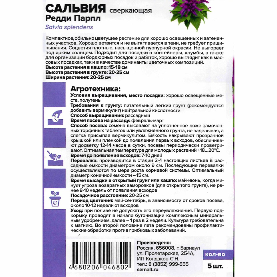 Сальвия Редди Парпл сверкающая [Семена алтая] купить с доставкой