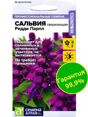 Сальвия Редди Парпл сверкающая [Семена алтая]