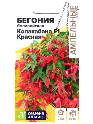 Бегония Копакабана Красная боливийская [Семена алтая]