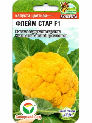 Капуста цветная Флейм стар [Сибирский сад]