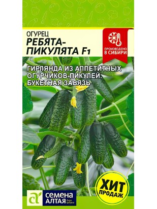 Огурец Ребята-Пикулята [Семена алтая]