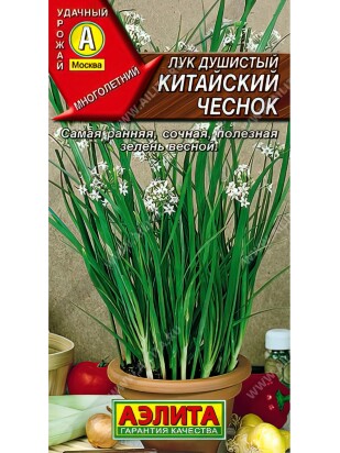 Лук душистый Китайский чеснок [Аэлита]