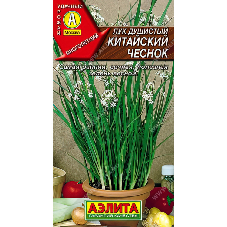 Лук Душистый Китайский Чеснок (Семена алтая) можно купить недорого с доставкой в питомнике Любвитский