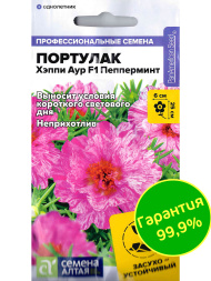Портулак Хэппи Аур Пепперминт [Семена алтая]