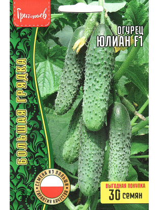 Огурец Юлиан F1 самоопыляемый [Семена редких растений]
