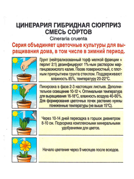 Цинерария Сюрприз гибридная смесь [Аэлита] купить с доставкой