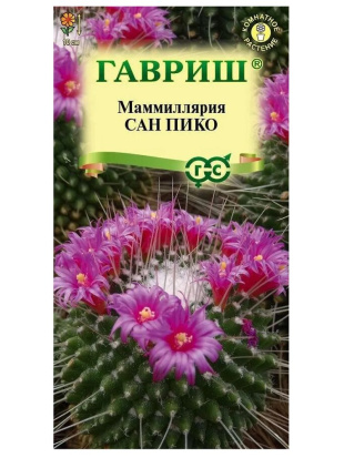 Маммиллярия Сан Пико Толука кактус [Гавриш]