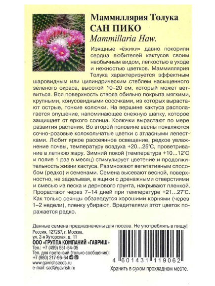 Маммиллярия Сан Пико Толука кактус [Гавриш] купить с доставкой