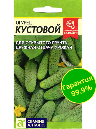 Огурец Кустовой [Семена алтая]