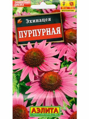 Эхинацея Пурпурная [Аэлита]
