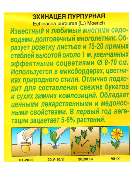 Эхинацея Пурпурная [Аэлита] купить с доставкой