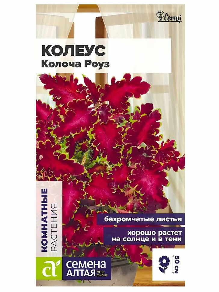 Цветы Колеус Колоча Роуз [Семена Алтая] купить с доставкой