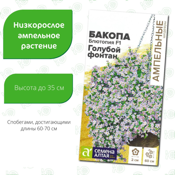 Бакопа Блютопия Голубой фонтан [Семена алтая] купить с доставкой