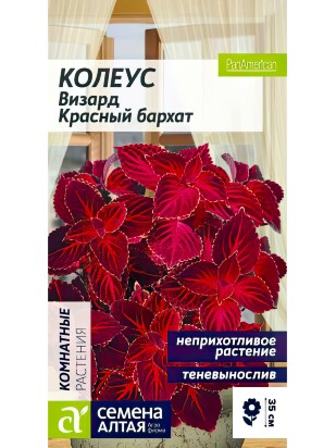 Колеус Визард Красный бархат [Семена алтая]