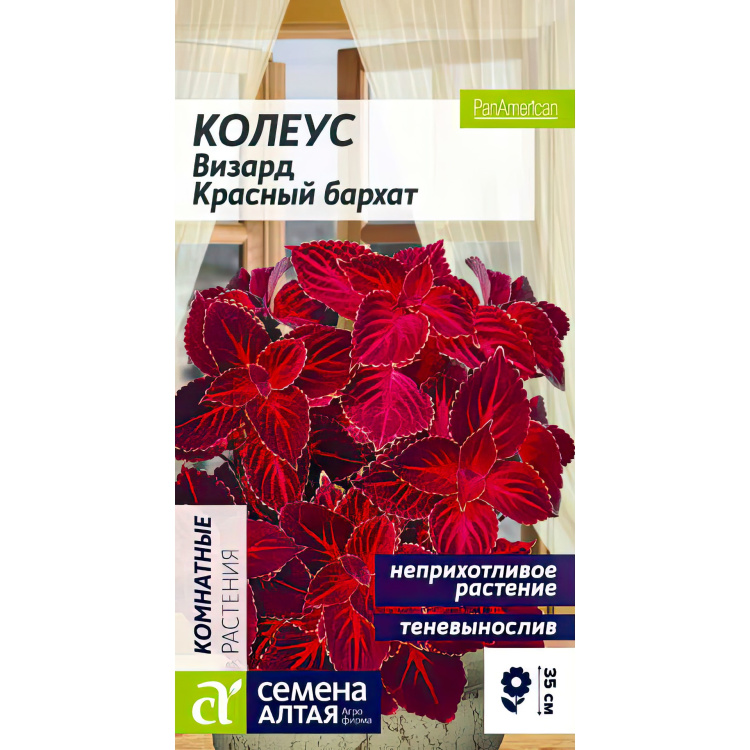 Колеус Визард Красный бархат (Семена алтая) можно купить недорого с доставкой в питомнике Любвитский