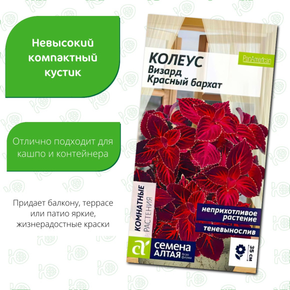 Колеус Визард Красный бархат [Семена алтая] купить с доставкой