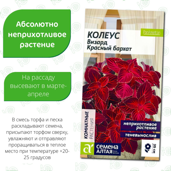 Колеус Визард Красный бархат [Семена алтая] купить с доставкой