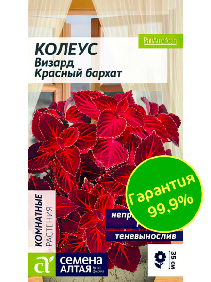 Колеус Визард Красный бархат [Семена алтая] купить с доставкой