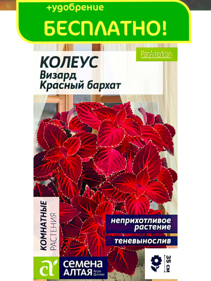 Колеус Визард Красный бархат [Семена алтая] купить с доставкой