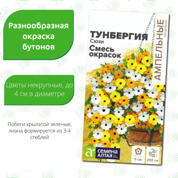 Тунбергия Сюзи Смесь окрасок [Семена алтая] купить с доставкой