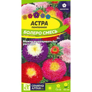 Астра Болеро Смесь помпонная [Семена алтая]