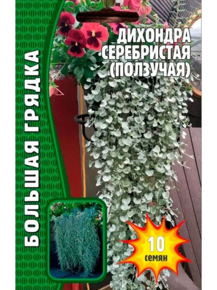 Дихондра серебристая Большая клумба [Семена редких растений] купить с доставкой