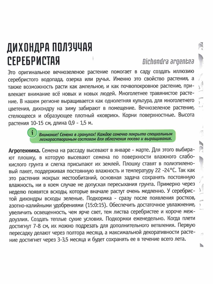 Дихондра серебристая Большая клумба [Семена редких растений] купить с доставкой