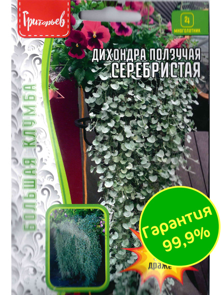 Дихондра серебристая Большая клумба [Семена редких растений] купить с доставкой