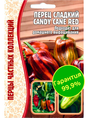 Перец Candy Cane Red [Семена редких растений]