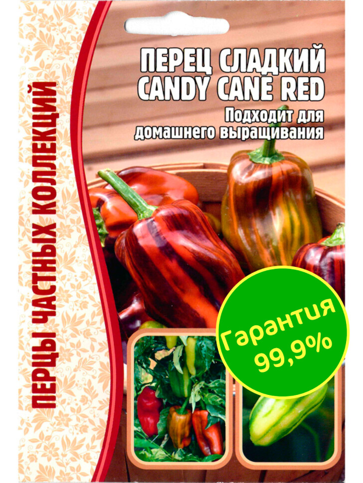 Перец Candy Cane Red [Семена редких растений] купить с доставкой