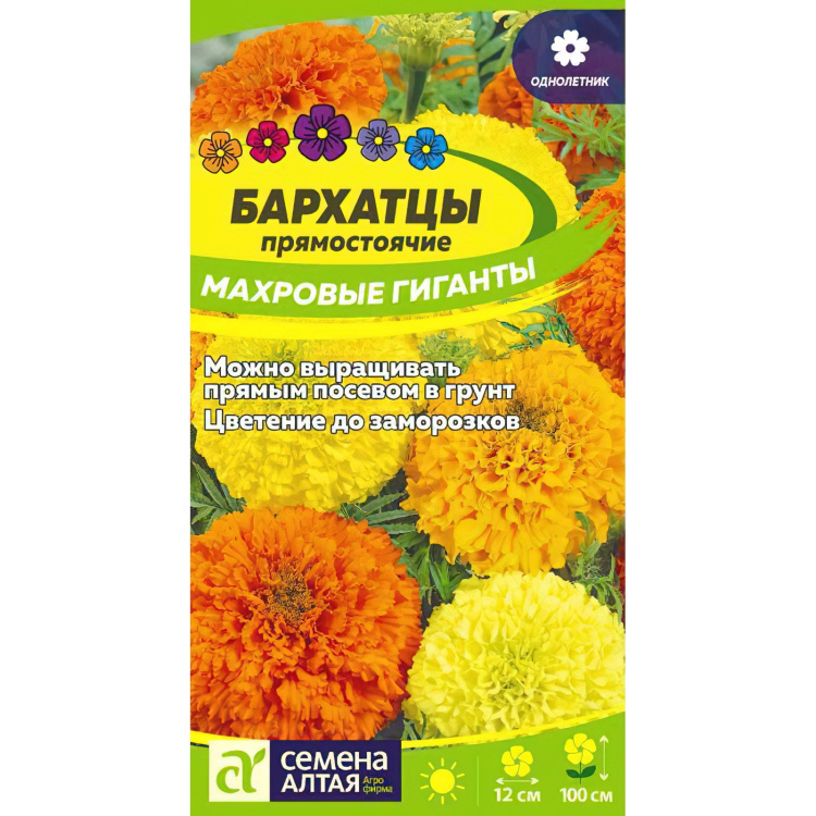 Бархатцы Махровые Гиганты (Семена алтая) можно купить недорого с доставкой в питомнике Любвитский