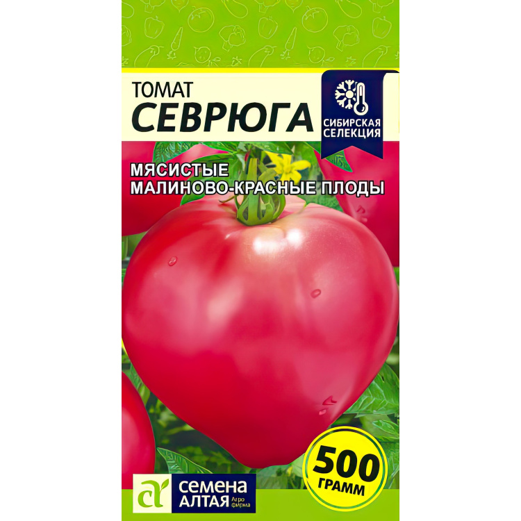 Томат Севрюга (Семена Алтая) можно купить недорого с доставкой в питомнике Любвитский