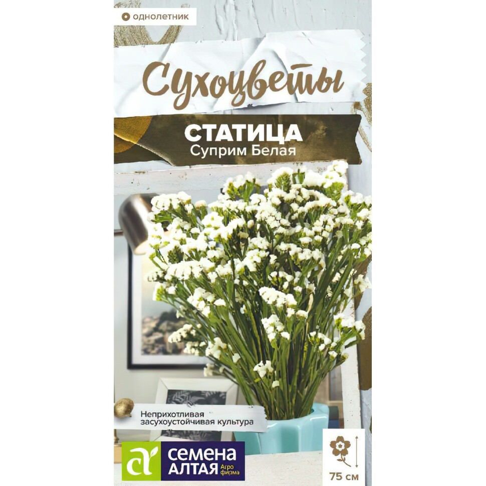 Статица Суприм Белая [Семена алтая] купить с доставкой