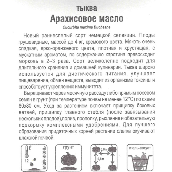 Тыква Арахисовое масло [Сибирский сад] купить с доставкой