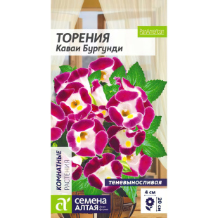 Торения Каваи Бургунди [Семена алтая]