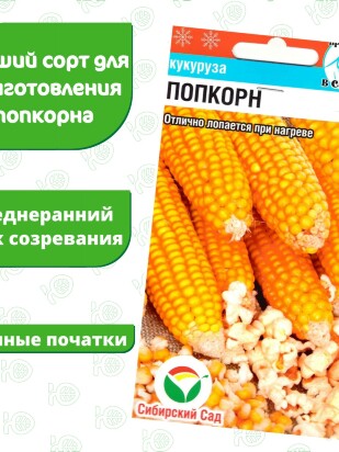Кукуруза Попкорн [Сибирский сад]