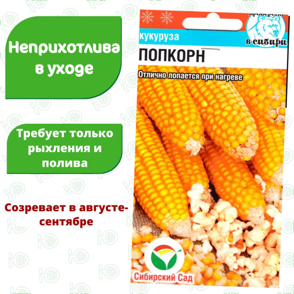 Кукуруза Попкорн [Сибирский сад] купить с доставкой