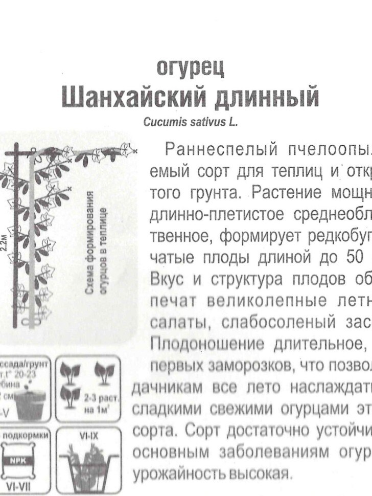 Огурец Шанхайский длинный [Сибирский сад] купить с доставкой