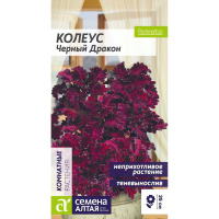 Колеус Черный Дракон (Семена алтая)