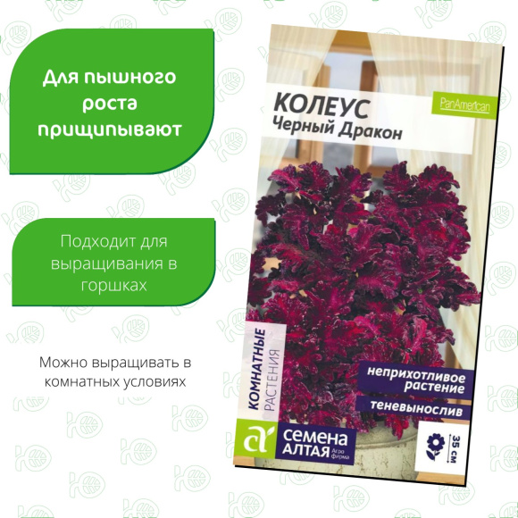 Колеус Черный Дракон [Семена алтая] купить с доставкой