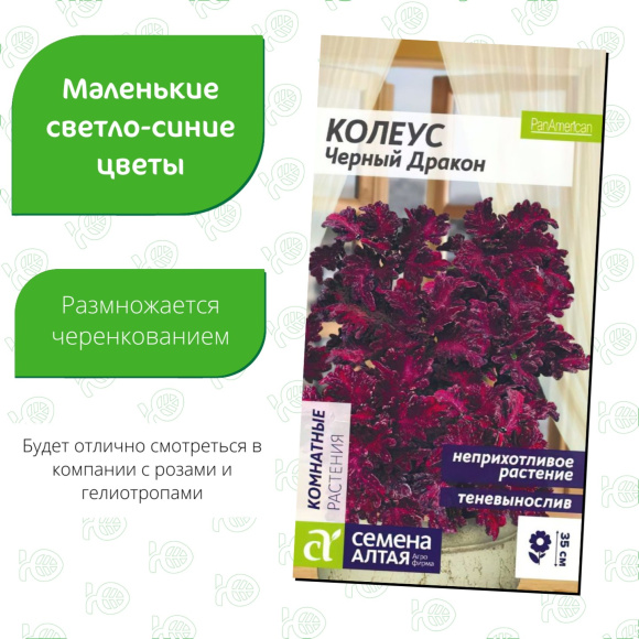 Колеус Черный Дракон [Семена алтая] купить с доставкой