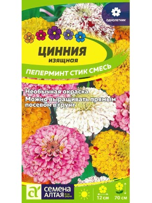 Цинния Пеперминт Стик [Семена алтая]